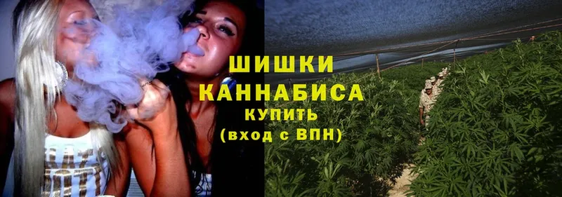 Конопля White Widow  Вятские Поляны 